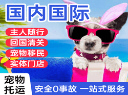 地窝堡机场托运国际宠物托运 【国